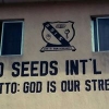 Blessed Seed School logo